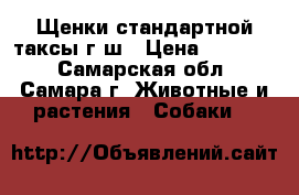 Щенки стандартной таксы г-ш › Цена ­ 20 000 - Самарская обл., Самара г. Животные и растения » Собаки   